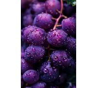 Puzzle 700 Pezzi per Adulti, Gocce Rugiada Frutta Viola, Esercitare la Memoria, Migliorare la Concentrazione Lettere sul Retro, Giocattolo Regalo per Uomini Donne e Anziani 52 x 38 cm