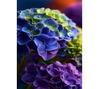 Puzzle 700 Pezzi per Adulti, Ortensie Blu, Rompicapo Classico per Passatempo e Relax, Splendida Decorazione per Pareti e Idea Regalo