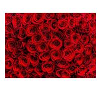 Puzzle 700 pezzi, Rose Rosso Scuro Puzzle Classici per Adulti, Giocattoli di Gioco Impegnativi, puzzle Impossibile, Puzzles per Gioco Familiare, Regalo per Amore e Amico 52 x 38 cm