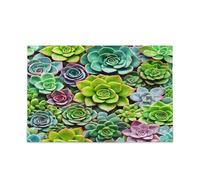 Puzzle adulto variopinto della famiglia di puzzle delle piante grasse 1000 pezzi 29.5×19.7"