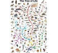 Puzzle Albero della Vita 1000 pezzi