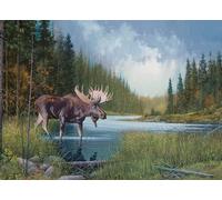 Puzzle Paesaggio al Lago 1000 Pezzi