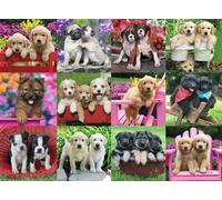 Puzzle Amici a Quattro Zampe 500 Pezzi