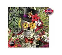 PUZZLE ANATOLIAN Baron in Bloom - 1024 Pezzi in Cartone per 12+ anni