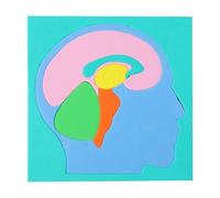 Puzzle anatomia per bambini, Eva modello scientifico del cervello per il montaggio, modello anatomico fai da te, per bambini e ragazze, scuola materna, sala giochi