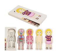 Puzzle anatomico per bambini - Gioco di apprendimento in legno per crescita precoce delle competenze, supporto per la regolazione degli organi con funzione di taglio multistrato, attività del corpo