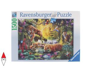 PUZZLE ANIMALI RAVENSBURGER TIGRI IDILLIO ALLA POZZA D ACQUA 1500 PZ