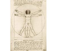 BlueBird - Puzzle Leonardo da Vinci: L'uomo vitruviano, 1490 - 1000 Pezzi