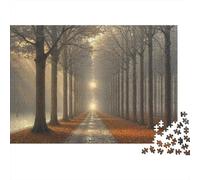 Puzzle Autumn Forest Path A 1000 Pezzi, Puzzle Adulti, Gioco Diabilità Impossibile Gioco Intellettivo Familiare Arredamento Domestico 52x38cm/1000pcs