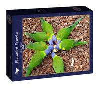Puzzle Bird Flower - 500 pz - Bluebird F-90876
