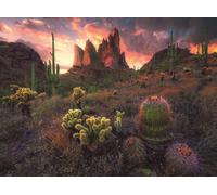 Puzzle Cactus al crepuscolo 500 pezzi
