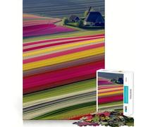 Puzzle "Campi di tulipani olandesi" per adulti, 1000 pezzi, gioco intellettuale antistress, taglio preciso, regalo perfetto (38x26cm)