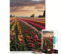 Puzzle Campi di tulipani olandesi per ragazzi, 1000 pezzi, gioco per allenare la mente, attività artistica da fare a casa, (50x75cm)