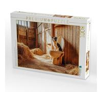 Puzzle, cane scoppiato nella stalla, divertente Aussie in un luogo | Australian Shepherd in WC, stravagante momento animale con profumo di fieno, 1000 pezzi, dimensioni da appoggiare 64 × 48 cm