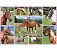 Puzzle Cavalli meravigliosi 150 pezzi SCHMIDT