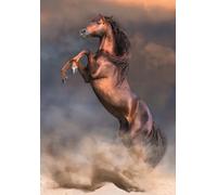 Puzzle Cavallo Rosso Selvaggio 500 pezzi