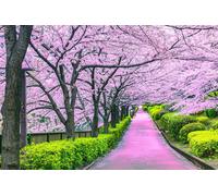 Puzzle Cherry Blossom Bliss Tokyo Giappone | Puzzle Jigsaw Da 1000 Pezzi