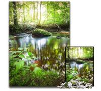 Puzzle Chi sono io da 1000 pezzi per adulti puzzle in legno decorazioni per la casa colorate e gioco interattivo per famiglie 1000 pezzi (38x26 cm)