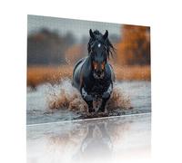 Puzzle Classici Adulti Cavallo Animale Jigsaw Puzzles 300 pezzi per Bambini Dai 5 Anni Divertimento Giochi Rilassamento e Intelligence, per Gioco Familiare Sfidare Impossibili Regalo 38x52cm t-622