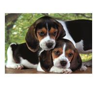 Puzzle clementoni 500 pezzi in totale 1 St