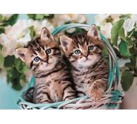 Puzzle CLEMENTONI 60 pezzi - gattini nel cestino