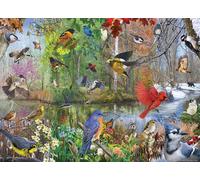 Cobble Hill Puzzle da 1000 pezzi, uccelli della stagione, poster campione incluso