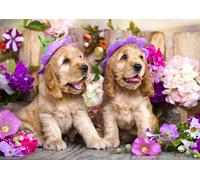 Puzzle Cocker Spaniel Cuccioli con Cappelli di Fiori 1000 Pezzi
