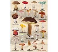 Dino - Puzzle Funghi - 1000 Pezzi