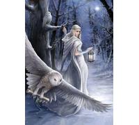 Puzzle collezione Anne Stokes: Messaggero di mezzanotte 1000 pezzi