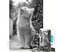 Puzzle con gatto bianco,gattino bianco e nero,1000 pezzi,gioco interattivo Think Boost,incastro perfetto,nessun pezzo si stacca,sfida cerebrale per la casa (50x75cm)