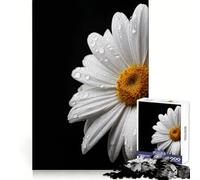 Puzzle con margherita bianca e gocce d'acqua su sfondo nero per ragazzi, 1000 pezzi, per esercitarsi nella logica, ideale per momenti di relax, con bordi netti e come regalo (38x52cm)
