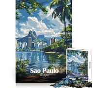 Puzzle con paesaggio urbano di San Paolo per ragazzi, 1000 pezzi, stimolante per la mente, ideale per il relax e le vacanze (38x52cm)
