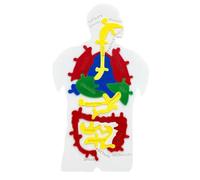 Puzzle Corpo Umano Educativo 3D Anatomico Modello Digerente Scheletro Biologia Bambini Ragazzi Studenti Insegnanti Scienza Giocattolo Interattivo Apprendimento Manuale Didattico Conosce