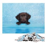 Puzzle creativi quadrati da 1000 pezzi con cuccioli che sbirciano dalla piscina per adulti e puzzle di carta, gioco intellettuale, 38x26 cm/1000 pezzi