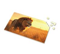 Puzzle da 100 pezzi per bambini, leone in piedi sull'erba dorata al tramonto, puzzle per adulti, puzzle da 750 pezzi per adulti (500 pezzi)