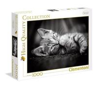 PUZZLE DA 1000 GATTINO