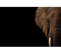 Puzzle da 1000 pezzi a forma di elefante per adulti (14 anni+)