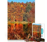 Puzzle da 1000 pezzi Autunno nella foresta al lago,decorazione pulita e adattabile,gioco per la mente,regalo,gioco rilassante,regalo di compleanno,arte (50x75cm)