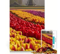 Puzzle da 1000 pezzi "Campi di tulipani olandesi" per adulti, gioco per allenare la mente, antistress, artistico, da assemblare, regalo per festival (38x52cm)