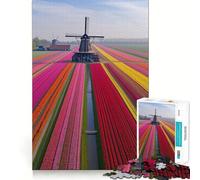 Puzzle da 1000 pezzi "Campi di tulipani olandesi" per adulti, ideale per rafforzare la memoria, rilassarsi e migliorare la qualità del gioco, perfetto come regalo di compleanno (38x26cm)