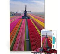 Puzzle da 1000 pezzi "Campi di tulipani olandesi" per ragazzi, gioco stimolante per la mente, facile da assemblare, regalo elegante (50x75cm)