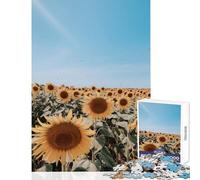 Puzzle da 1000 pezzi Campo di girasoli sotto un cielo azzurro Decorazione per la casa Giocattoli Ottimi regali e giocattoli Gioco pratico Interessante riduzione dello stress Dimensioni 38x52cm