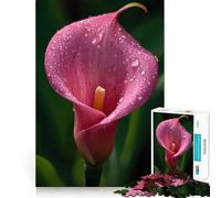 Puzzle da 1000 pezzi con calla rosa e gocce d'acqua per adulti, ideale per rafforzare la memoria, creare un'atmosfera piacevole e creare un regalo raffinato (38x52cm)