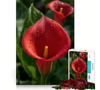 Puzzle da 1000 pezzi con calla rossa e gocce d'acqua per adolescenti, ideale per rafforzare la memoria e il legame familiare, con bordi precisi e un regalo pensato con cura (50x75cm)
