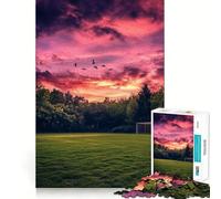 Puzzle da 1000 pezzi con campo da calcio al tramonto per ragazzi, gioco di logica, semplice e divertente, taglio preciso, Babbo Natale, desiderio, scegli 38x26cm