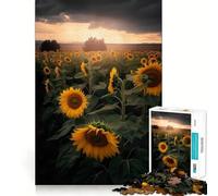 Puzzle da 1000 pezzi con campo di girasoli e nuvole grigie per ragazzi, ideale per il tempo libero, con taglio preciso e perfetto come regalo stagionale 50x75cm