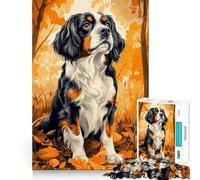 Puzzle da 1000 pezzi con Cavalier King Charles Spaniel tra foglie autunnaliTaglio liscioGioco creativo,rilassante e divertente,ideale come regalo di Natale (50x75cm)