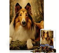 Puzzle da 1000 pezzi con Collie a pelo lungo nella foresta per adulti, ideale per rafforzare la memoria, divertimento e svago, con bordi di qualità, elegante e regalo (38x52cm)