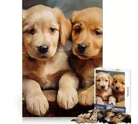 Puzzle da 1000 pezzi con cuccioli di Labrador gialli per ragazzi, stimola la logica, è un passatempo divertente e un regalo speciale (38x26cm)