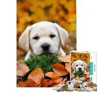 Puzzle da 1000 pezzi con cucciolo di Labrador autunnale perfetto per compleanno e Natale Decorazione ideale per il fai da te Adatto a partire dai 14 anni (38x52cm)